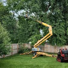 Cementon, PA  Tree Services Company