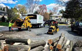 Best Arborist Consultation Services  in Cementon, PA