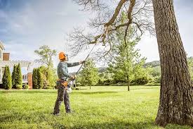  Cementon, PA Tree Services Pros